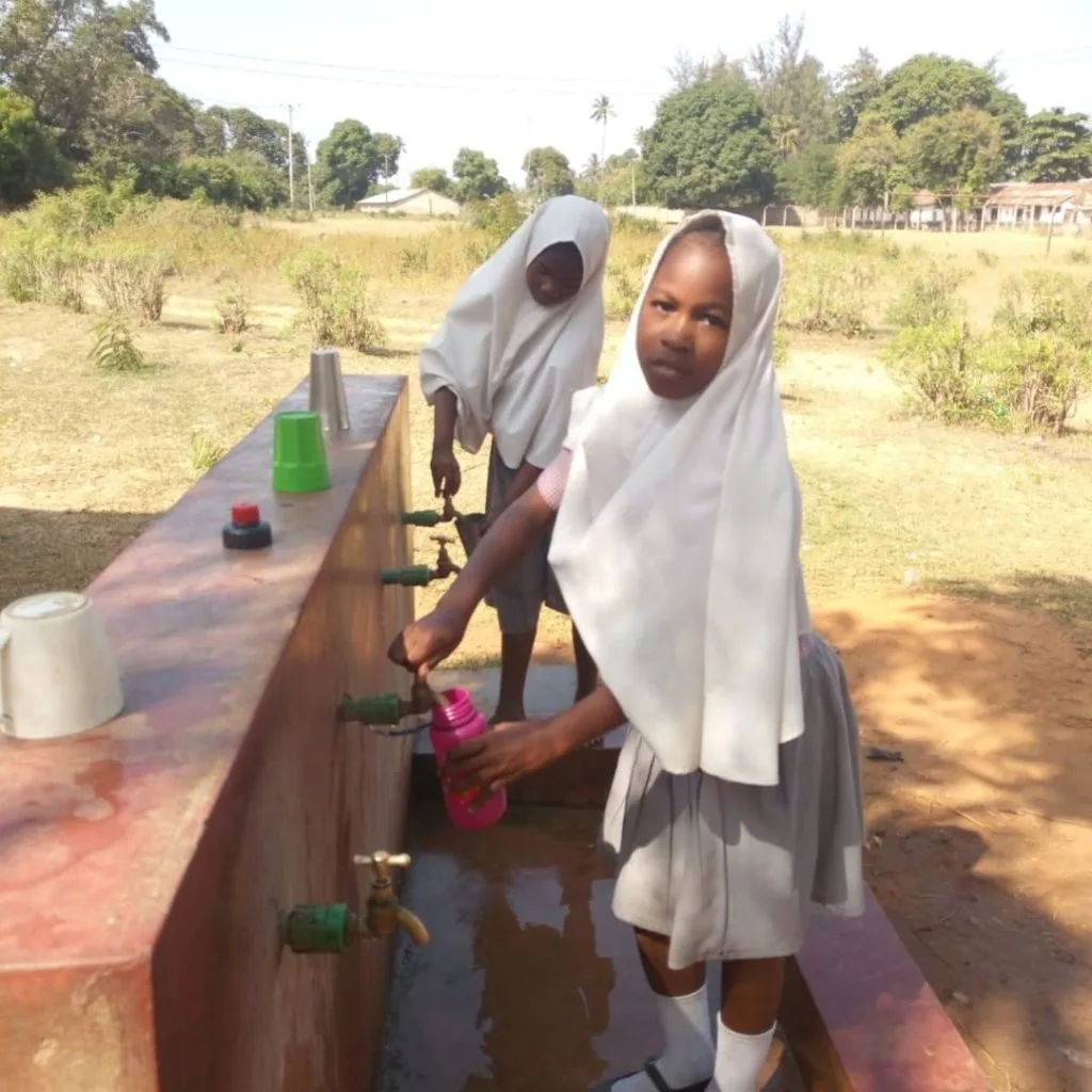 Maji na Ufanisi institutional and community capacity