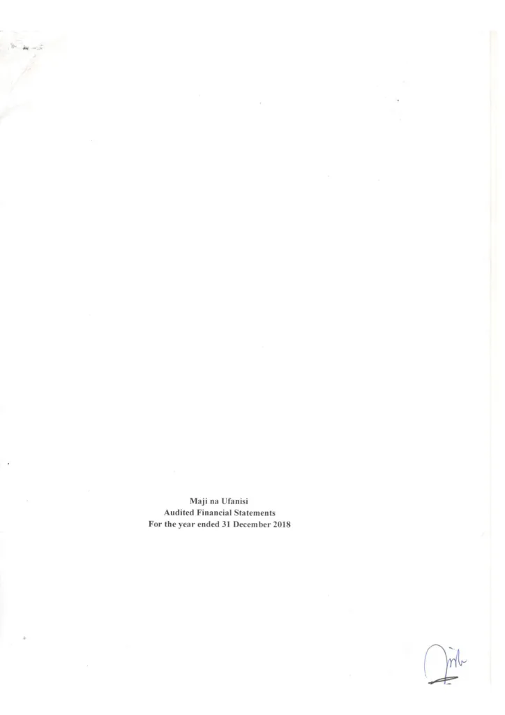 Audited financial statement for 2018