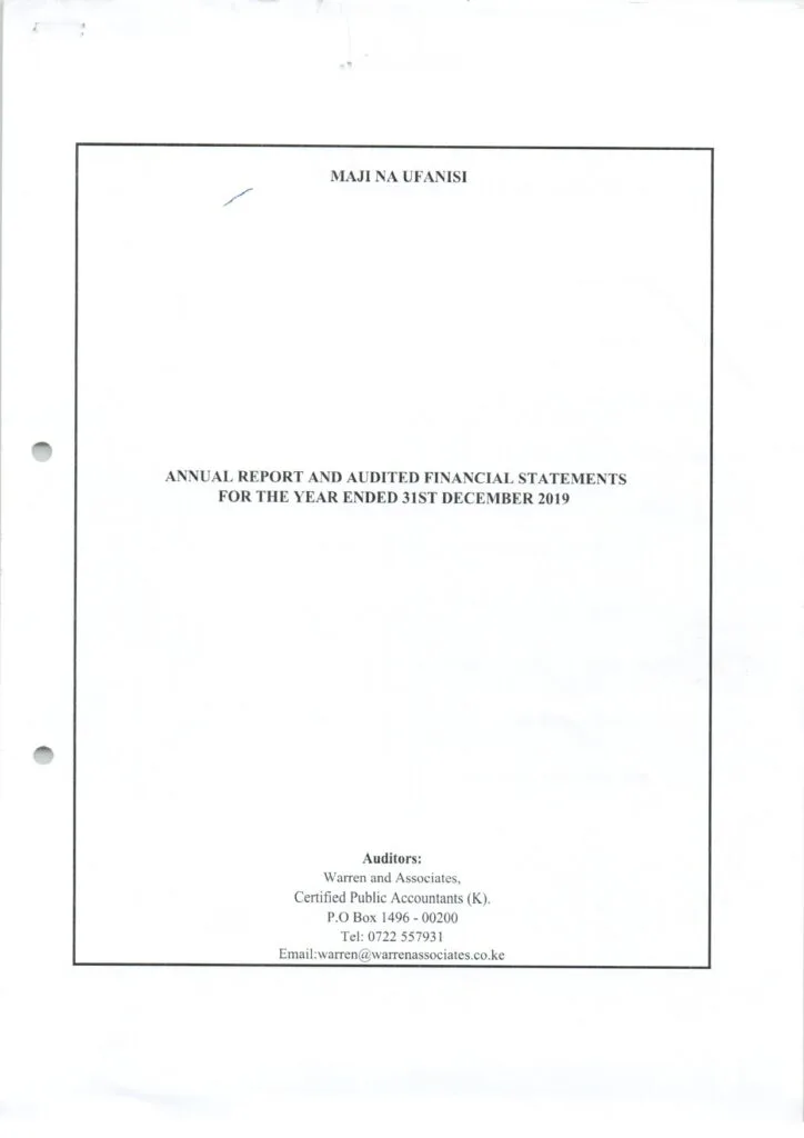 Audited financial statement for 2019