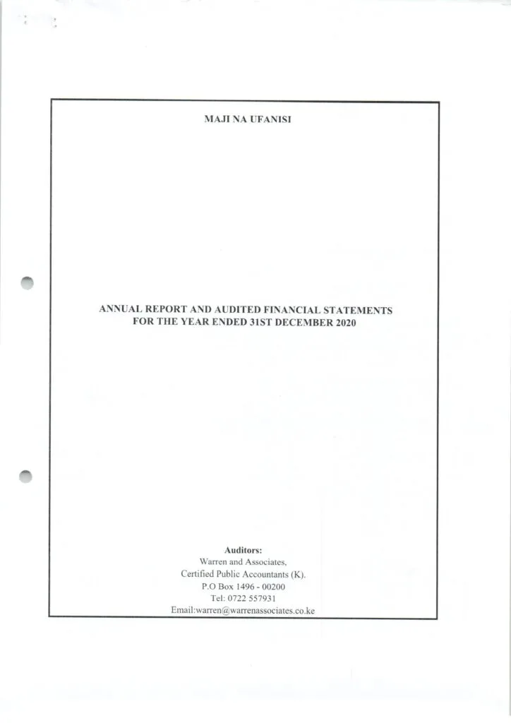 Audited financial statement for 2020