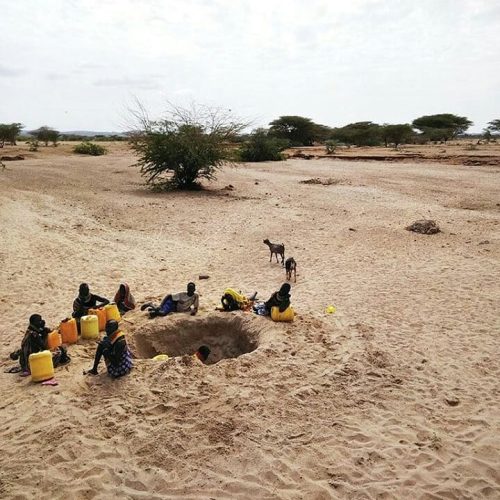 Building Climate Resilience in ASAL Communities: Proven Strategies for a Sustainable Future