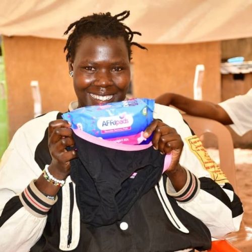 Menstrual Hygiene in Developing Countries: Challenges and Solutions