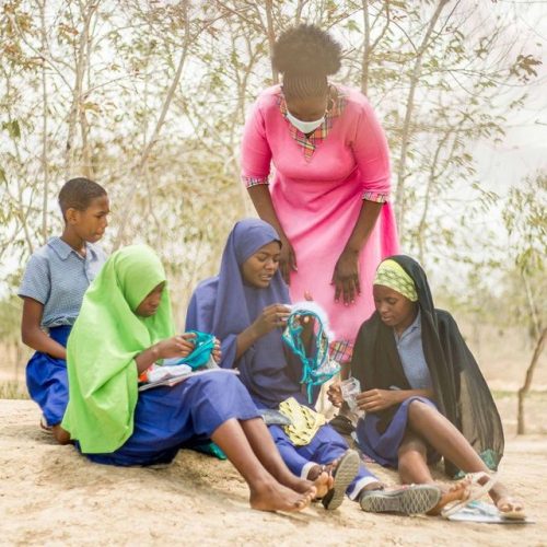 Period Poverty Projects: Unmasking the Global Crusade Against Menstrual Inequality