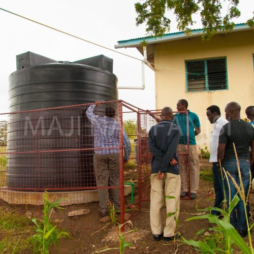 Safe Water and Dignified Sanitation for 600 Children at Thika Primary School