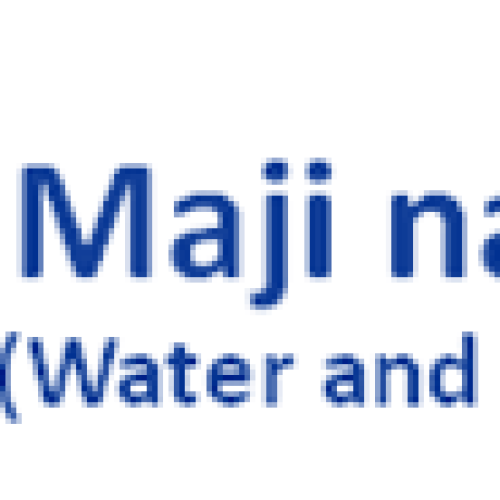 Maji Na Ufanisi: Success Stories from the Field
