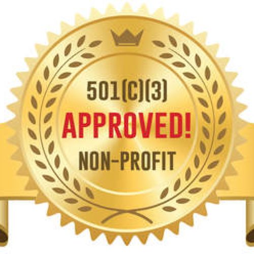 Kenyan NGO’s Innovative Approach to WASH Projects Wins It a 501(c)(3) status in the US – Opening Doors to New Opportunities and Impact!